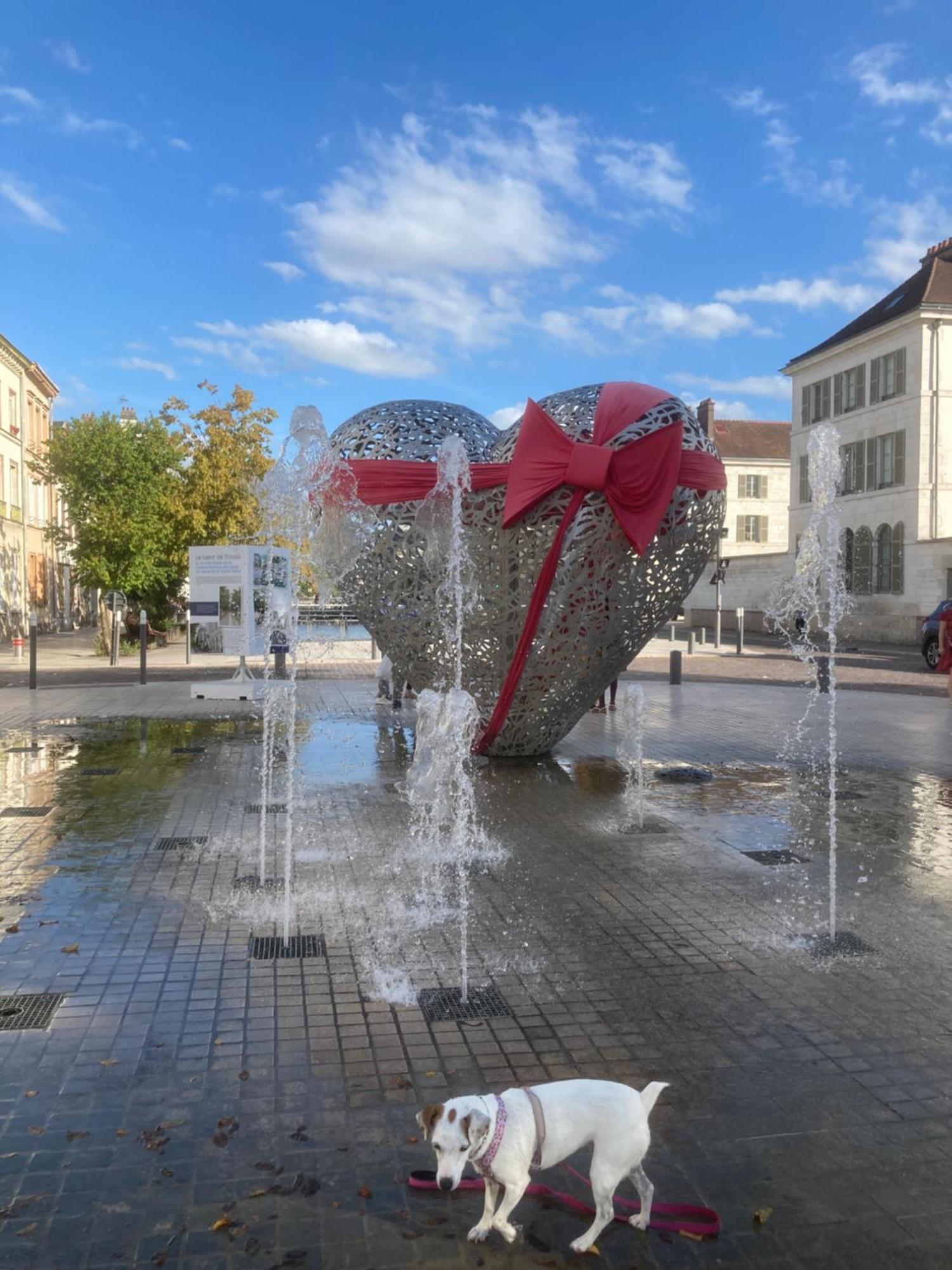 Papillons De Nuit Champagne Troyes Apartment Екстериор снимка